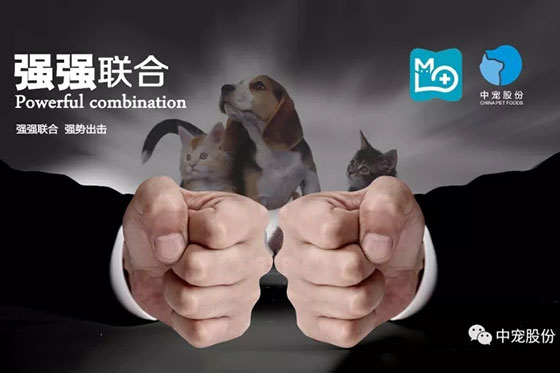 2121非凡·(中国游)体育官方网站