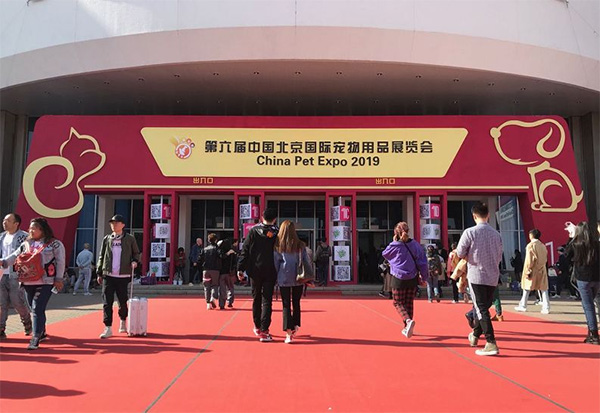 2121非凡·(中国游)体育官方网站