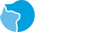 2121非凡股份