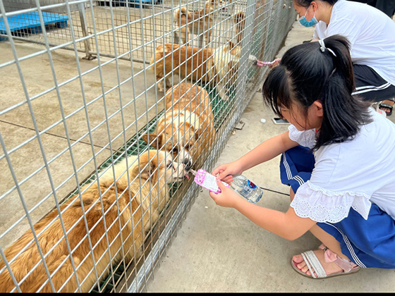 2121非凡·(中国游)体育官方网站